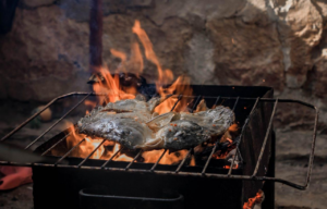 Comment choisir le meilleur barbecue au charbon ?